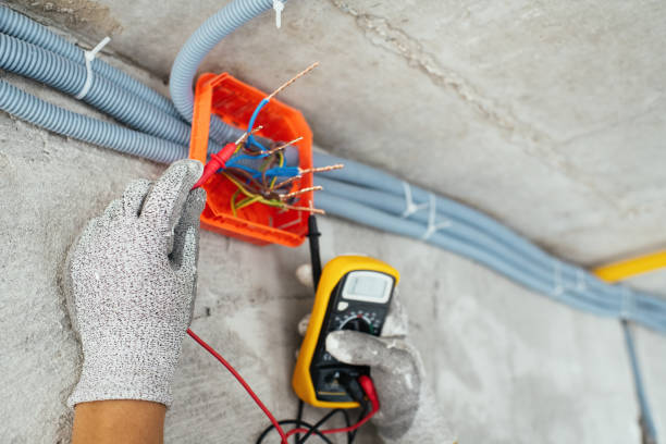 Best Electrical System Inspection  in Somerville, TX
